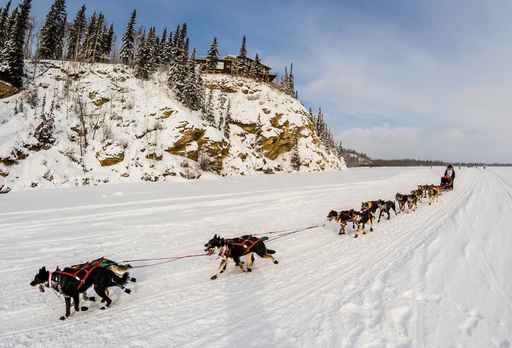 Alaska’s Iditarod sled dog race to begin amid turbulent year
