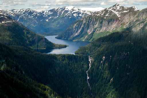 Old-growth logging proposed in Tongass National Forest plan