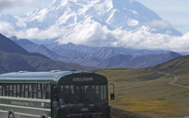 Park service plans to limit access to Denali road in 2020