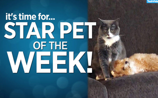 Star Pet Of The Week – January 3, 2020