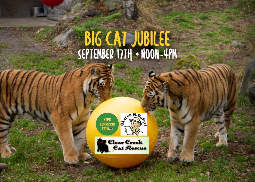 <h1 class="tribe-events-single-event-title">Big Cat Jubilee</h1>